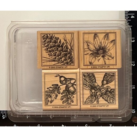 2003 STAMPIN' UP! CLOSE TO NATURE Wood Mounted Rubber Stamp set of 4 LEAF ACORN - Picture 2 of 5